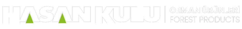 Hasan Kulu